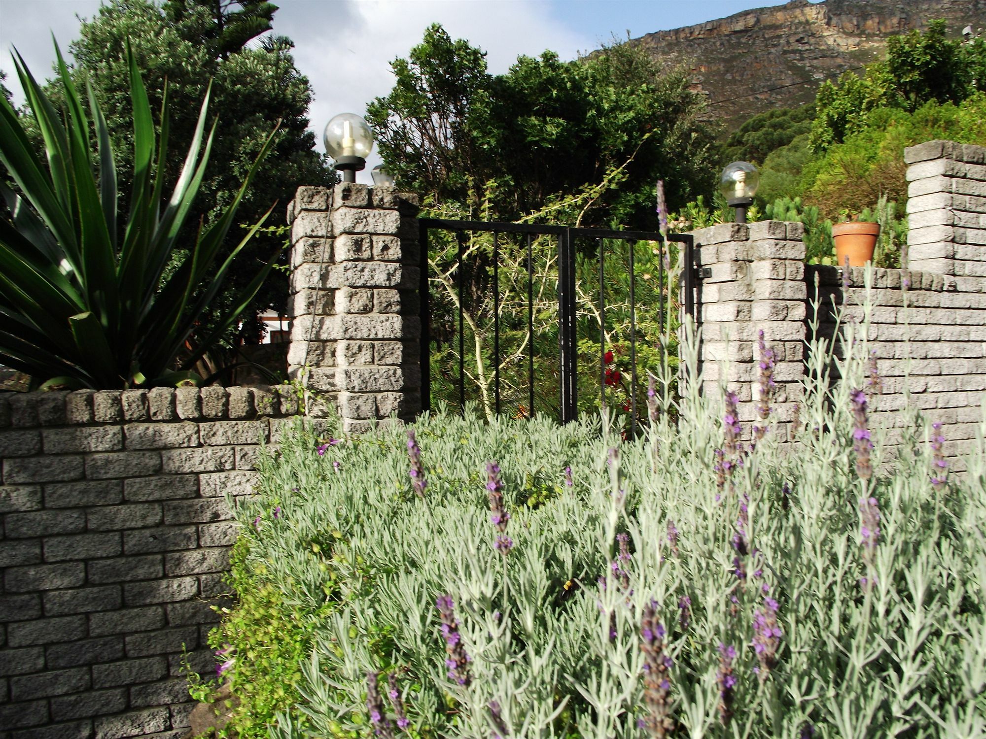 Bluebottle Guesthouse Muizenberg Exteriör bild